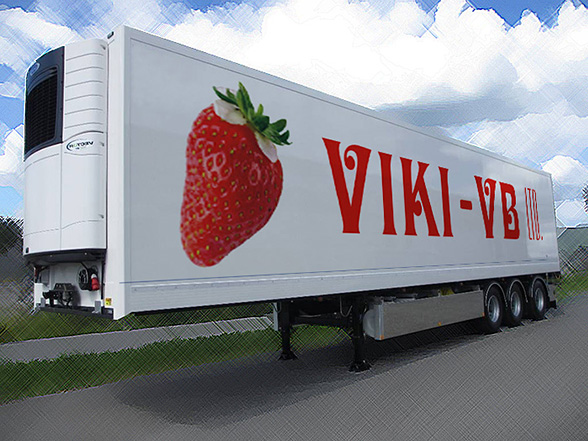 Graphic design and prepress of advertising stickers for a truck fleet with refrigerator containers, Viki-VB